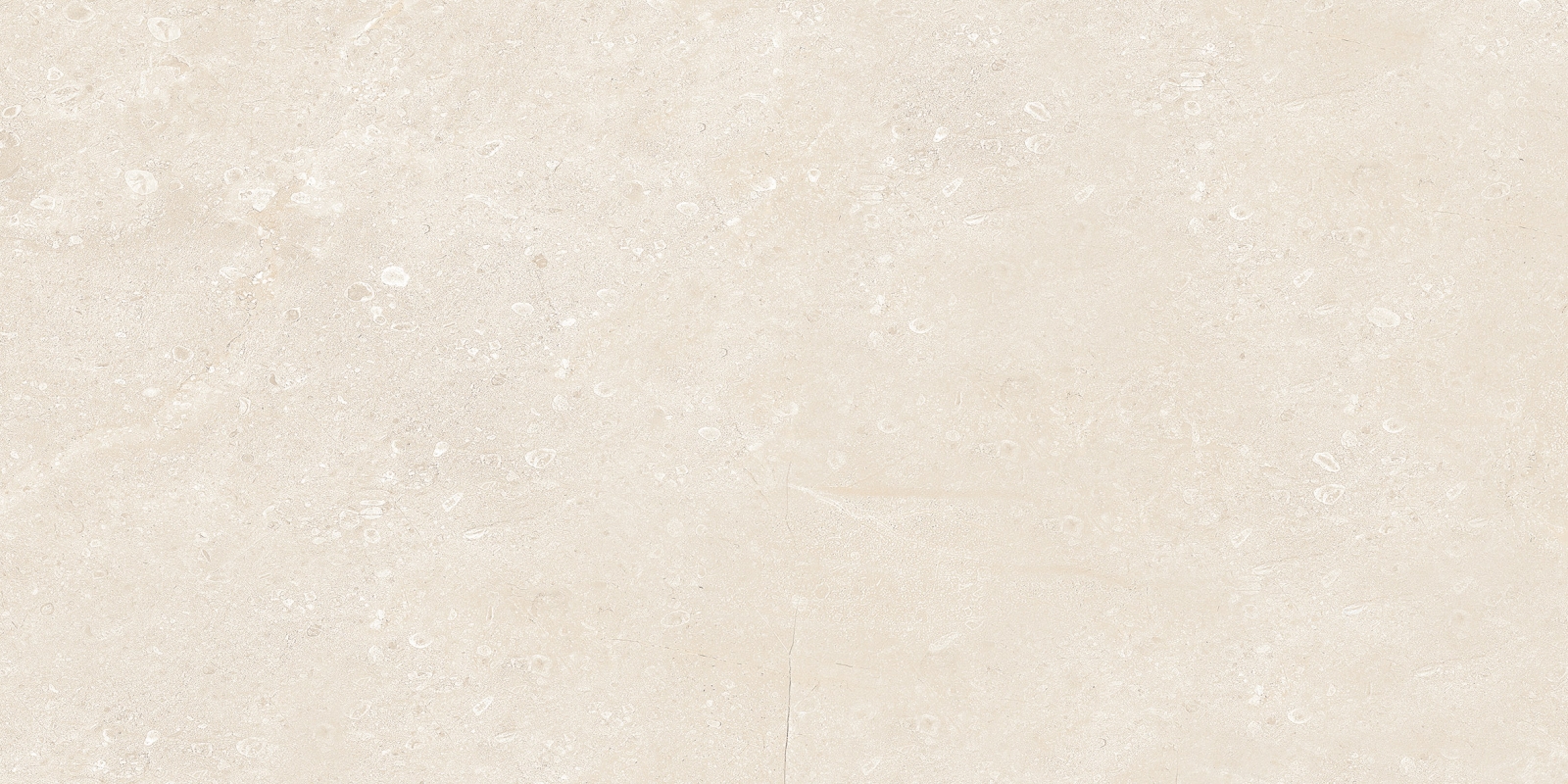 Lord Sand  Rec 60X120
