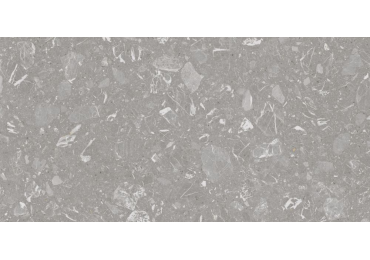 Luna-R Gris  Pulido 59,3x119,3