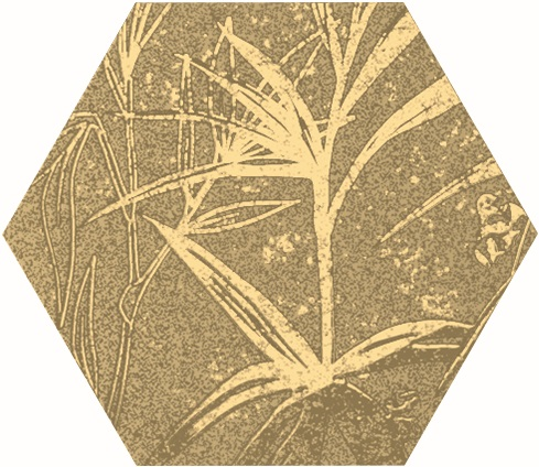Magnet Tropic Gold 15x17