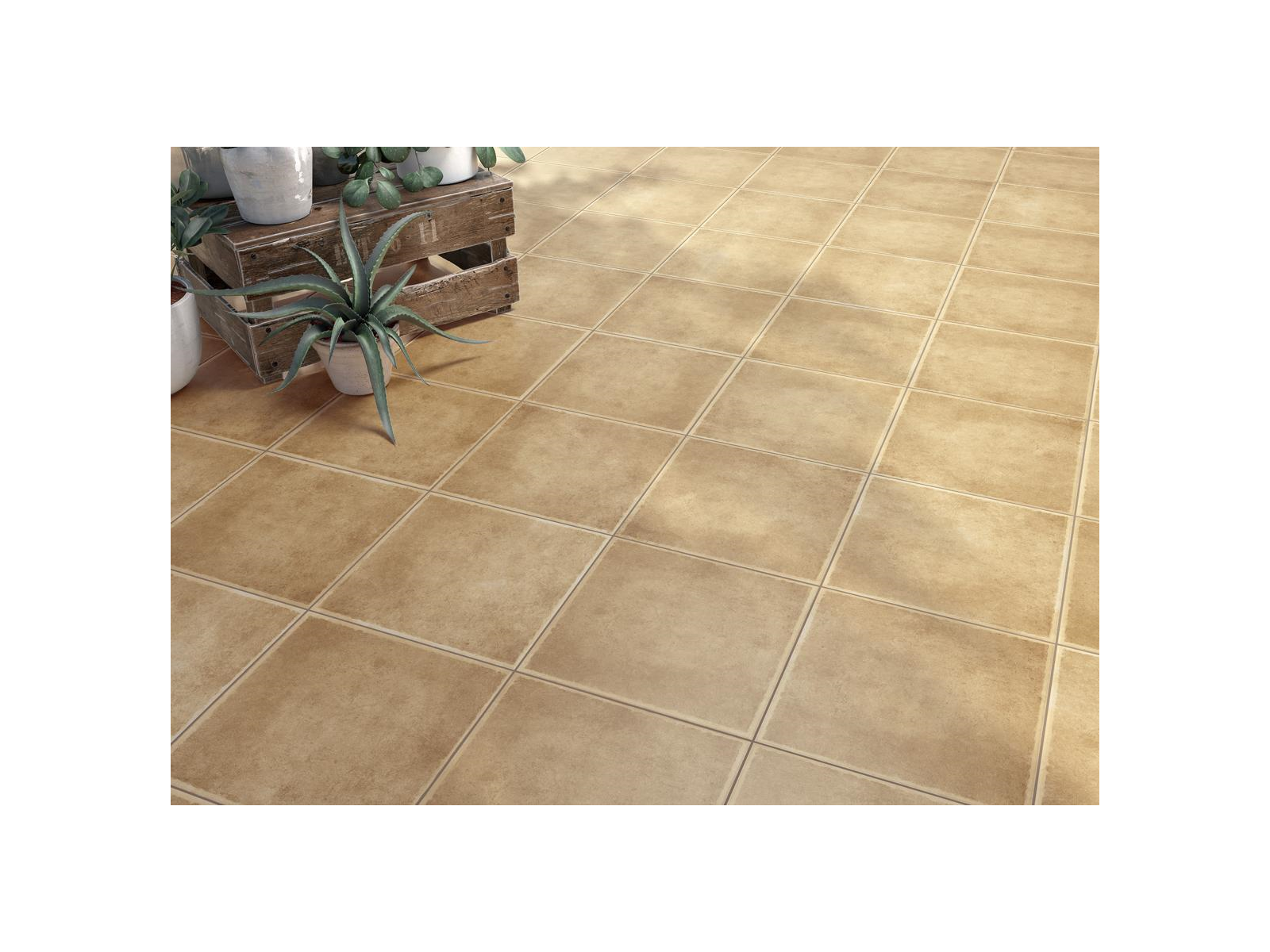 Maroma Cotto 33,3X33,3
