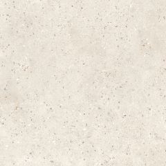 Mediterranean Greige 100X100