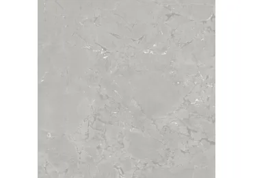 Neeko Grey 60X60