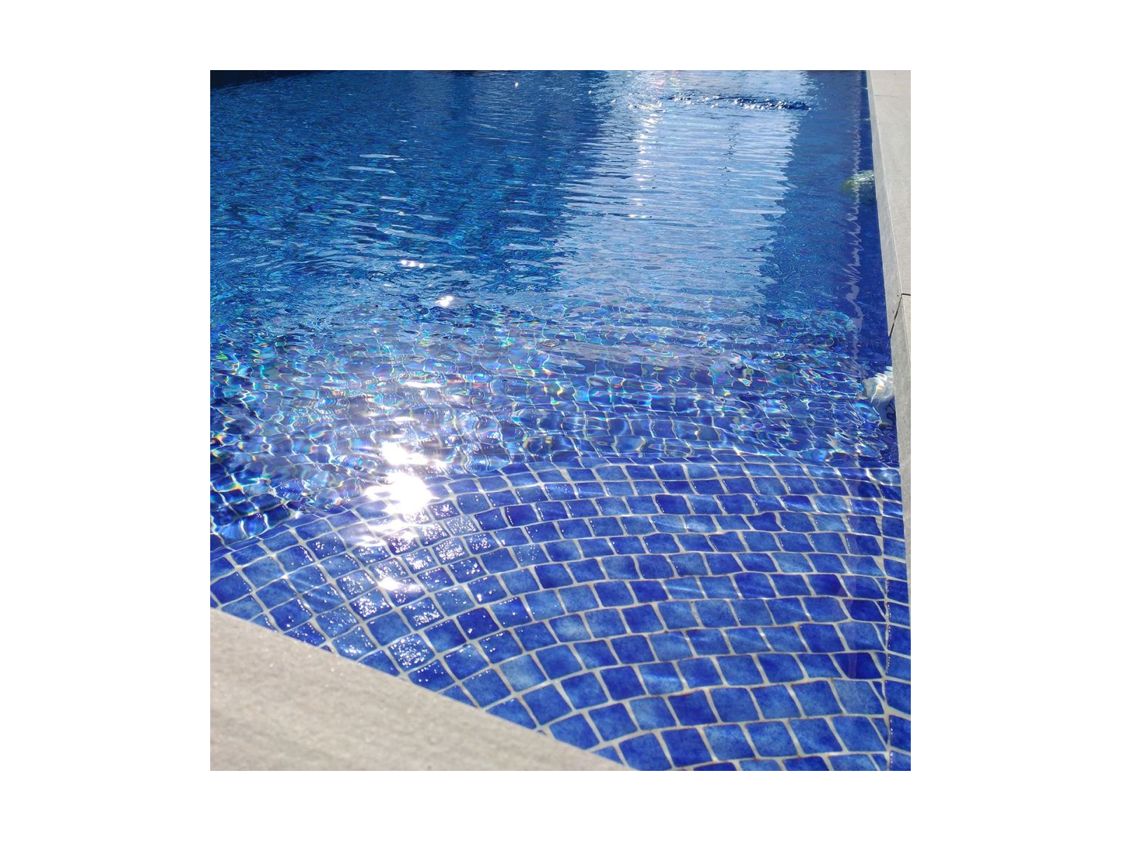 Niebla 2562-B 2,5 31,2X49,5