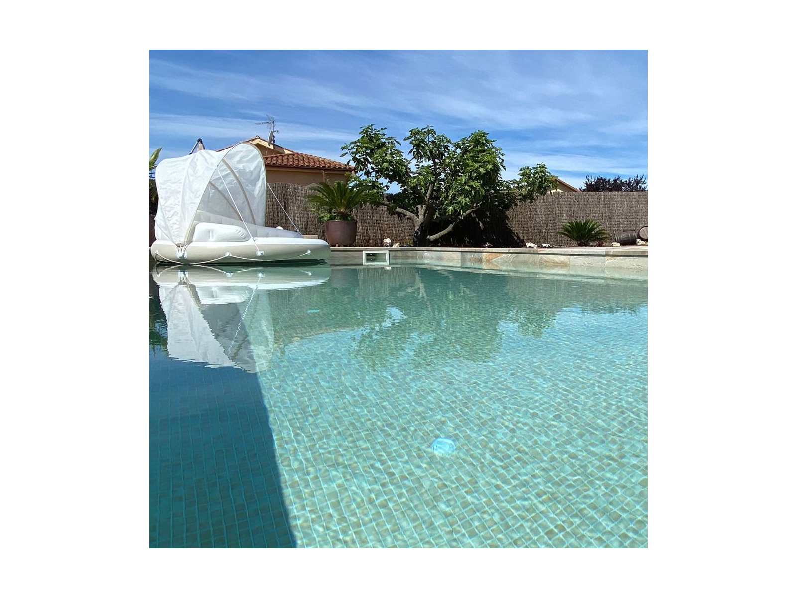 Niebla 2596-B 2,5 31,2X49,5