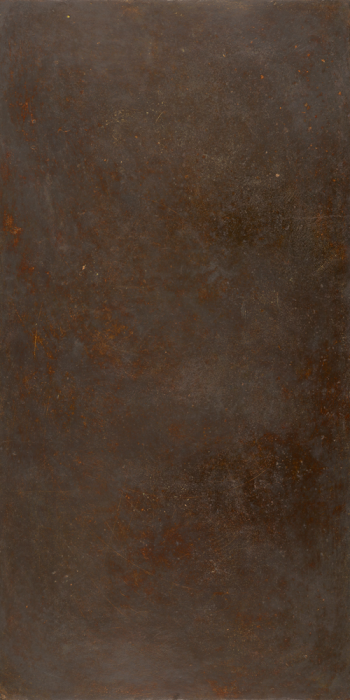 Ozone Brown Natural 59,6x119,3