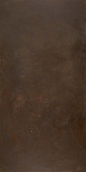 Ozone Brown Natural 59,6x119,3