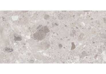 Petra Grey 30X60