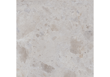 Petra Grey 60X60
