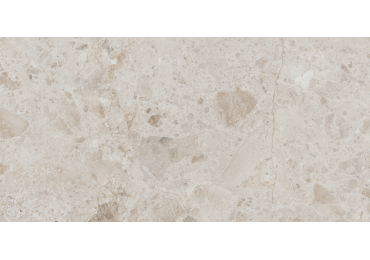 Petra Taupe 60X120