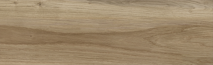 Pure Wood Beige 19X60