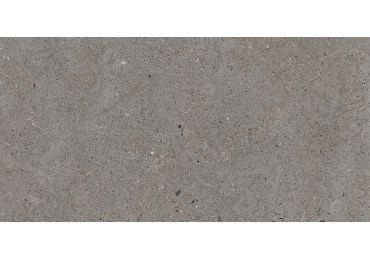 Somport Grey Antislip 30X60