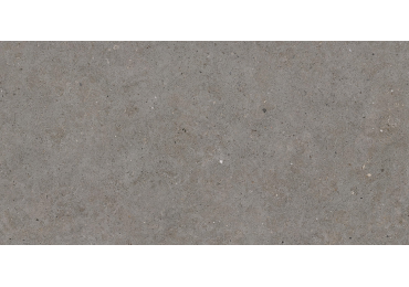 Somport Grey Antislip 60X120