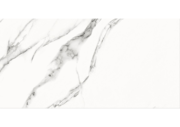 Special Marble White Lesk 30X60
