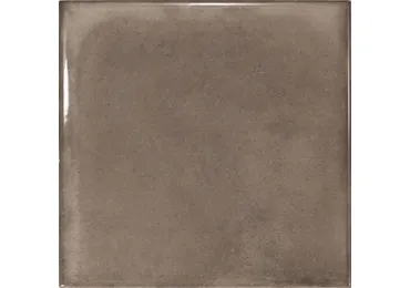 Splendours Brown 15X15
