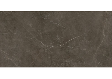 Tessino Bronze Pulido 60X120