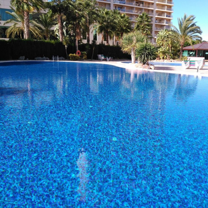 Topping Blueberries 2,5 31,2X49,5