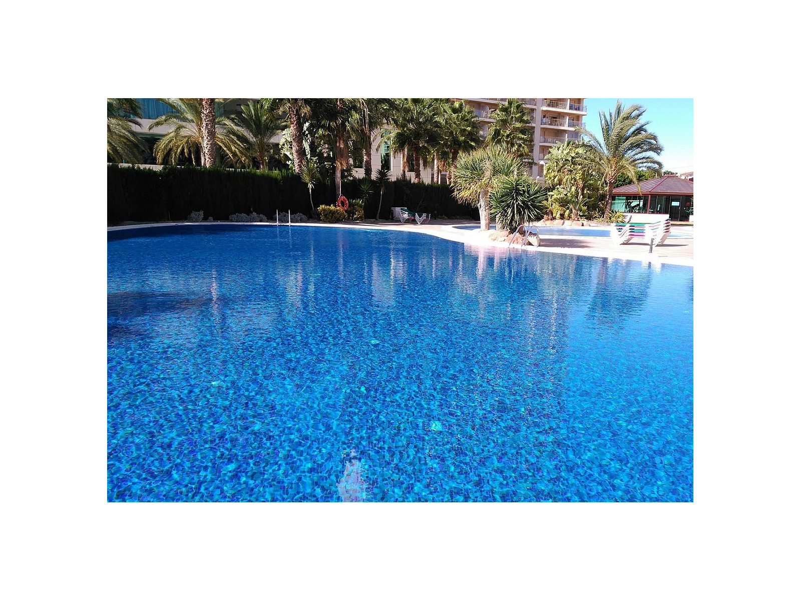 Topping Kiwi 2,5 31,2X49,5