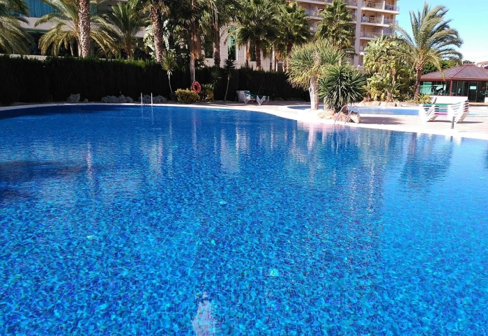 Topping Kiwi 2,5 31,2X49,5