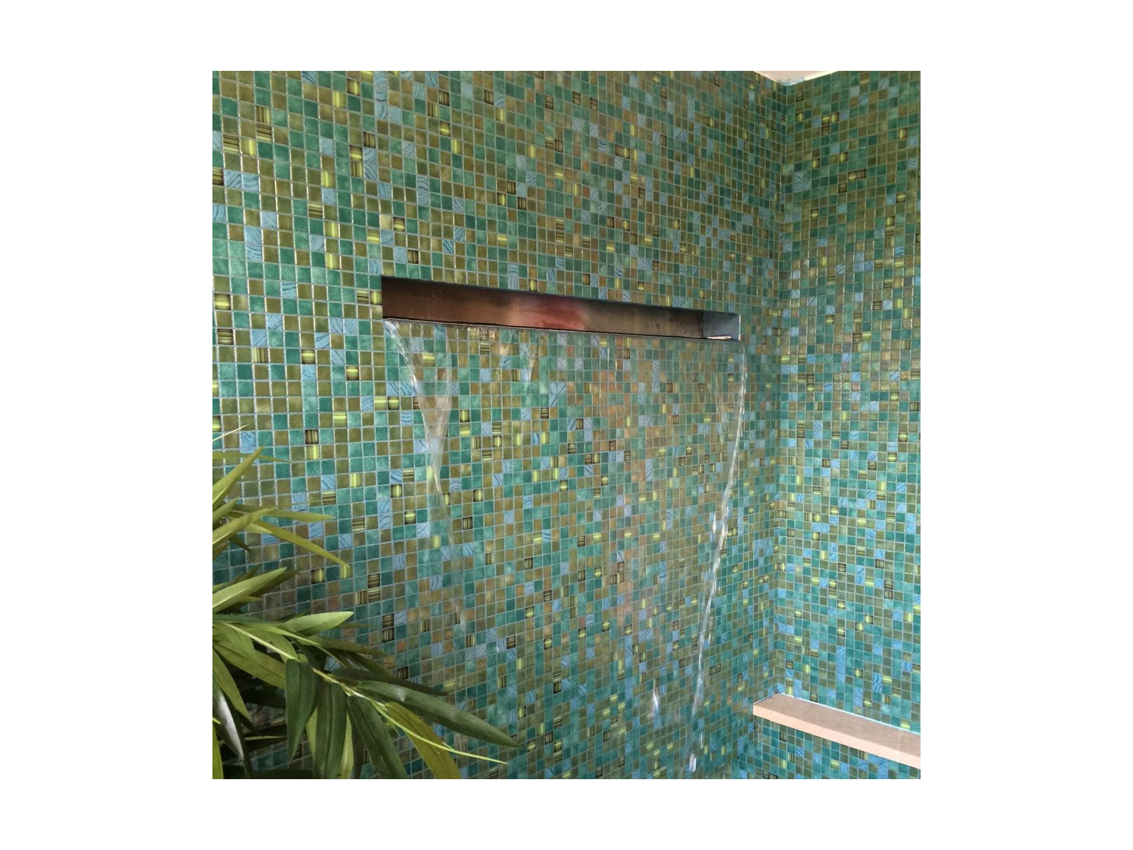 Topping Kiwi 2,5 31,2X49,5