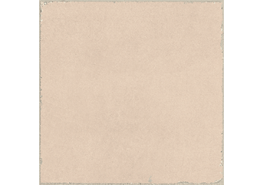 Valencia Coral 20x20