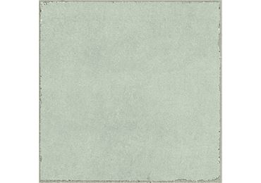Valencia Salvia 20x20