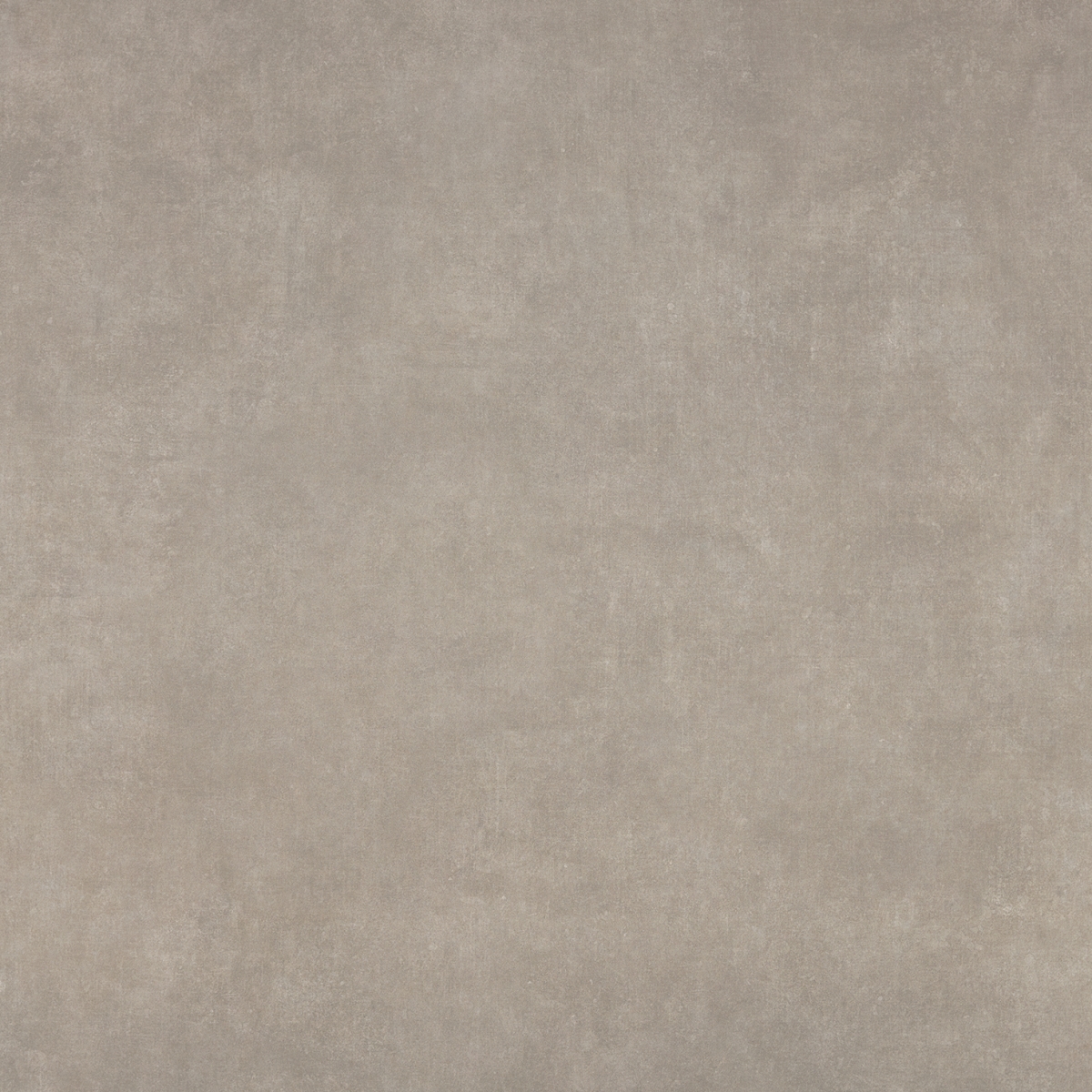 Vanguard Gris 75X75