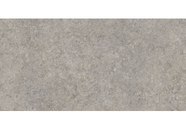 Vinci Grey 60X120