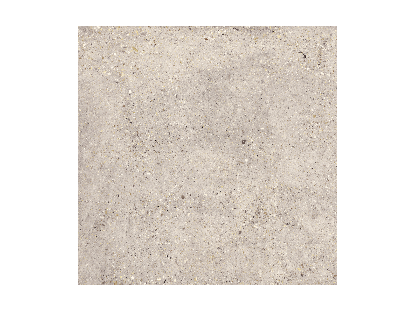 Wind Ivory Natural 100x100