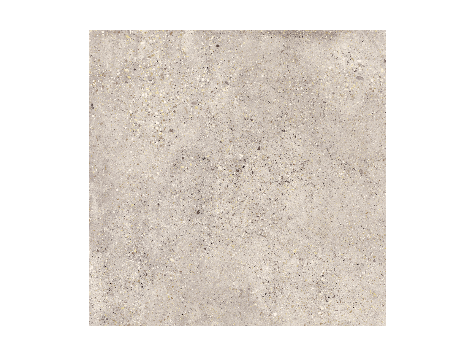 Wind Ivory Natural 100x100