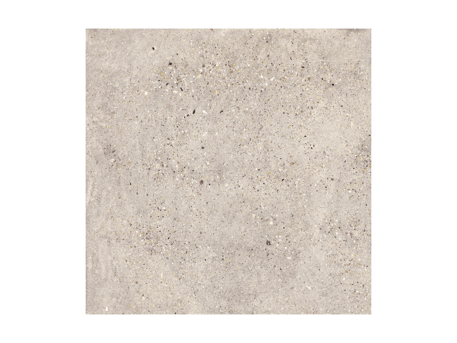 Wind Ivory Natural 100x100
