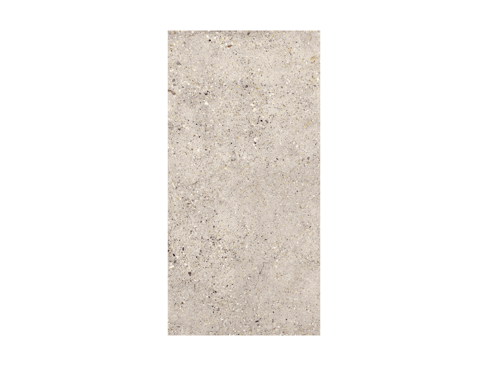 Wind Ivory Solid 2cm 50x100