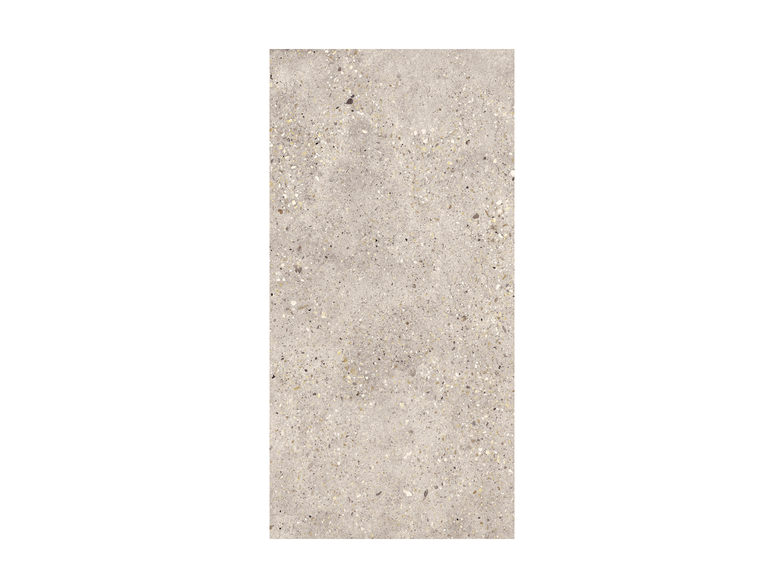 Wind Ivory Solid 2cm 50x100