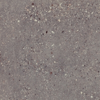 Wind Moss Natural 60x60