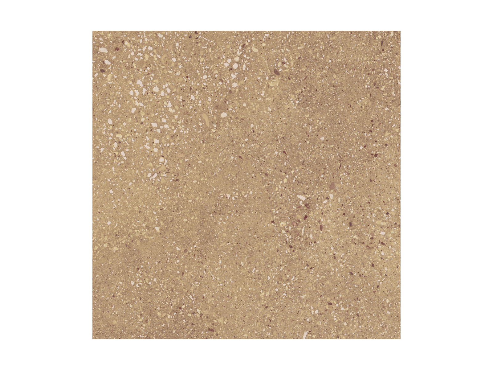 Wind Ochre Natural 60x60