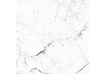 Windsor White  Sshine 120X120